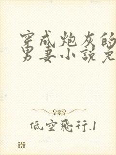 穿成炮灰的反派男妻小说免费阅读