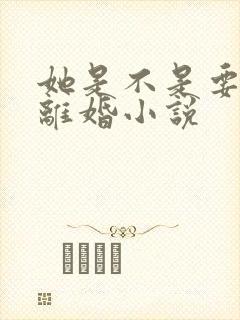 她是不是要和我离婚小说