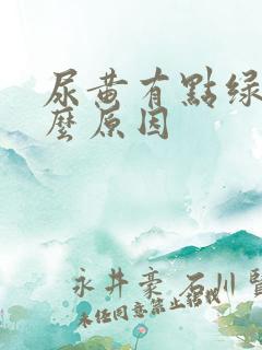 尿黄有点绿是什么原因