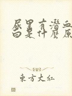 尿里有潜血和蛋白是什么原因引起的