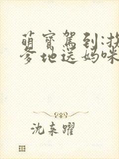 萌宝驾到:拐个爹地送妈咪好看