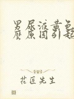 男尿液黄色是什么原因引起的