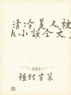 清冷美人被调教h小说全文免费阅读