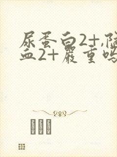 尿蛋白2+,隐血2+严重吗