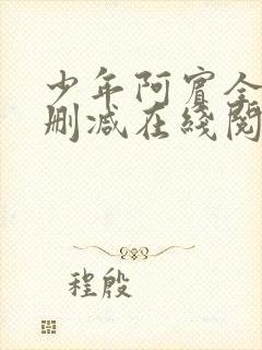 少年阿宾全文无删减在线阅读