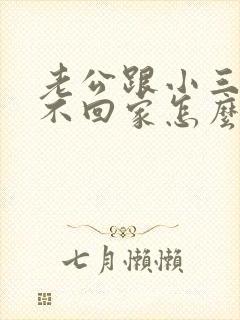 老公跟小三同居不回家怎么办