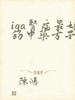 iga肾病最好的中药方子