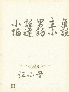 小说男主角叫季伯达的小说