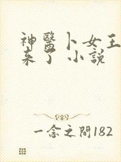 神医卜女王妃回来了 小说