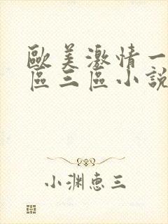 欧美激情一区二区三区小说