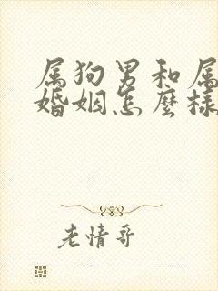 属狗男和属牛女婚姻怎么样