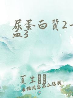 尿蛋白质2十潜血3