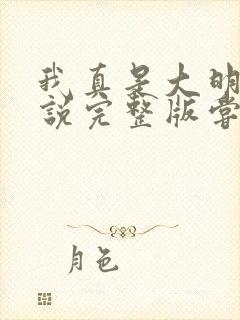 我真是大明星小说完整版尝谕