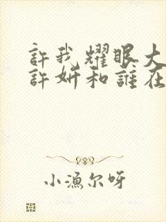 许我耀眼大结局许妍和谁在一起了