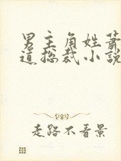 男主角姓萧的霸道总裁小说