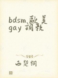bdsm 欧美gay 调教