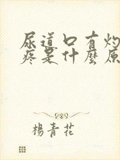 尿道口有灼热感疼是什么原因