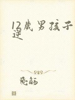 12岁男孩子叛逆