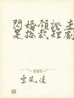 闪婚领证老公竟是总裁短剧