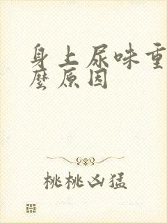 身上尿味重是什么原因