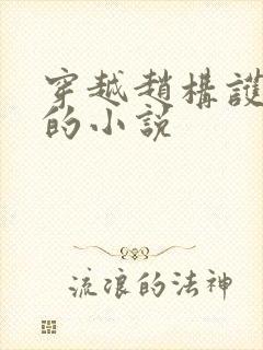 穿越赵构护岳飞的小说