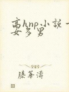 高hnp小说一女多男