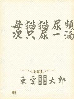 母猫猫尿频繁每次只尿一滴