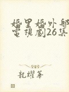 婚里婚外那些事电视剧26集免费观看