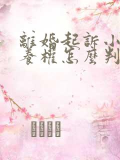 离婚起诉小孩抚养权怎么判