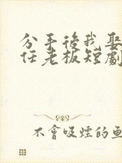 分手后我娶了前任老板短剧全集