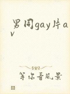 男同gay片av