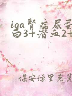iga肾病尿蛋白3+潜血2+严重吗