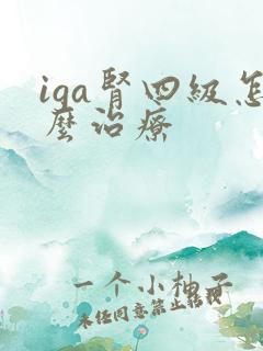 iga肾四级怎么治疗