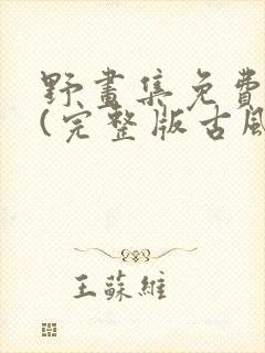 野画集免费观看(完整版古风漫画)下拉式