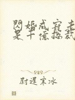 闪婚成宠老公竟是千亿总裁