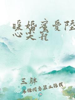 暖婚蜜爱陆少的心尖宠