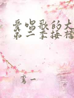 爱唱歌的大姐姐第二季接档