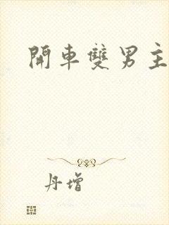 开车双男主小说