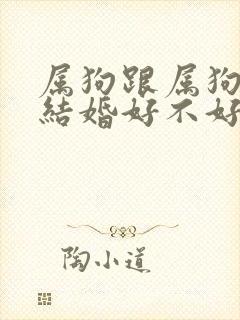 属狗跟属狗的人结婚好不好