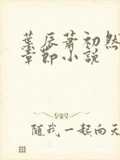 叶辰萧初然最新章节小说