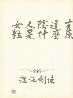 女人阴道有小米粒是什么原因