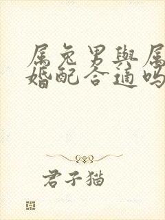 属兔男与属猪女婚配合适吗