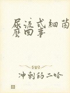 尿流式细菌高怎么回事