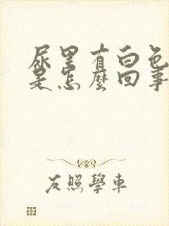 尿里有白色泡沫是怎么回事