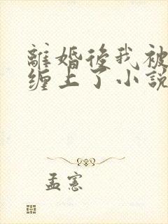 离婚后我被前夫缠上了小说阅读