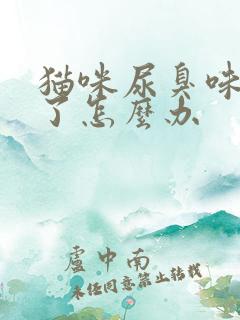 猫咪尿臭味太重了怎么办