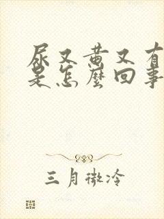 尿又黄又有泡沫是怎么回事