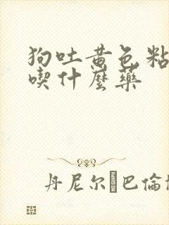 狗吐黄色粘稠物吃什么药