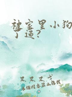 被家里小狗狗舔了逼?