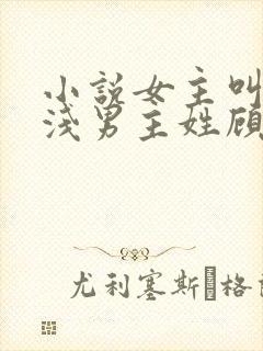 小说女主叫苏浅浅男主姓顾